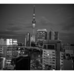 東京の紅葉スポットの見頃は？Xmasイルミネーションはどんな感じ？2016年を写真で振り返ってみた。
